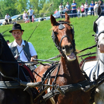 1. defile jahača, fijaker i zaprega Apatin